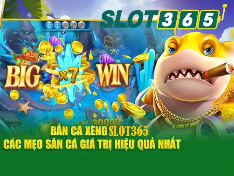 chương trình slot365 vip