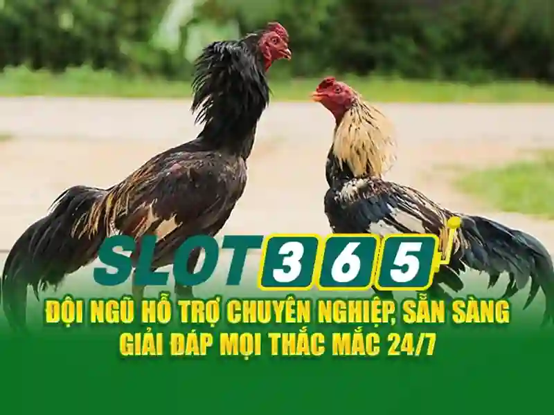 SLOT365 | Trang Chủ | 12Bet – Nhà Cái Uy Tín Trong Lĩnh Vực Casino & Sportsbook