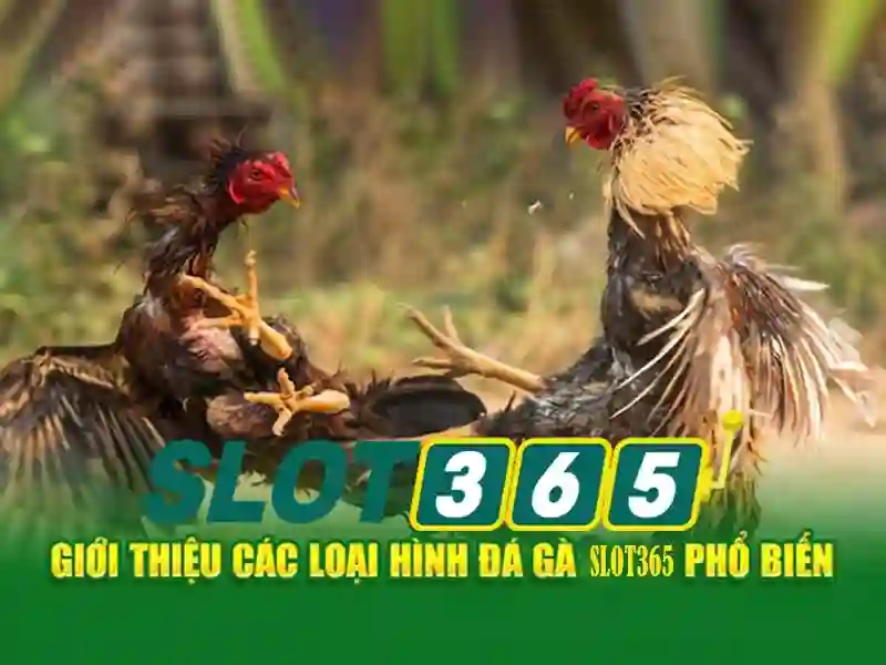 khuyến mãi Slot365