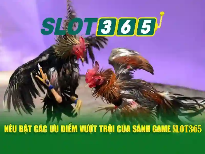 An Toàn Bảo Mật Slot365 VN
