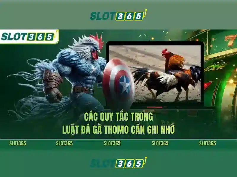 cách sử dụng slot365 link alternatif