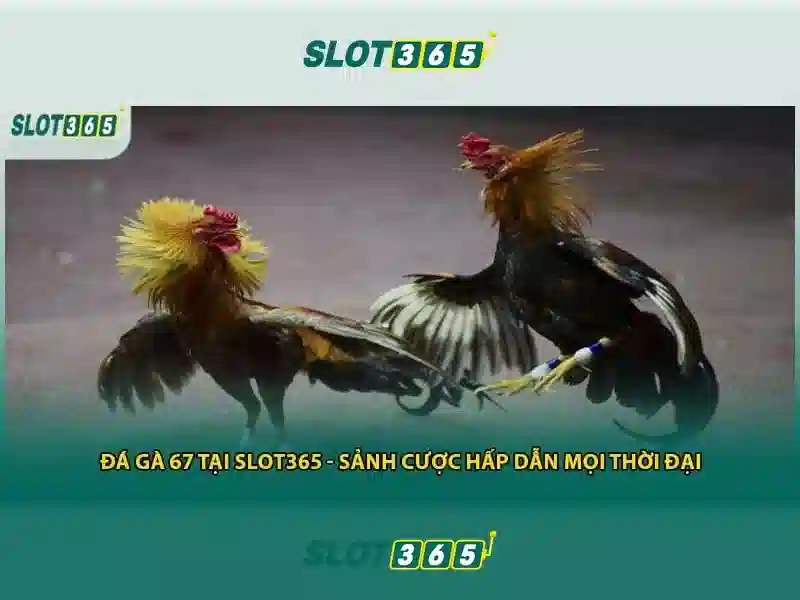 Tải Slot365