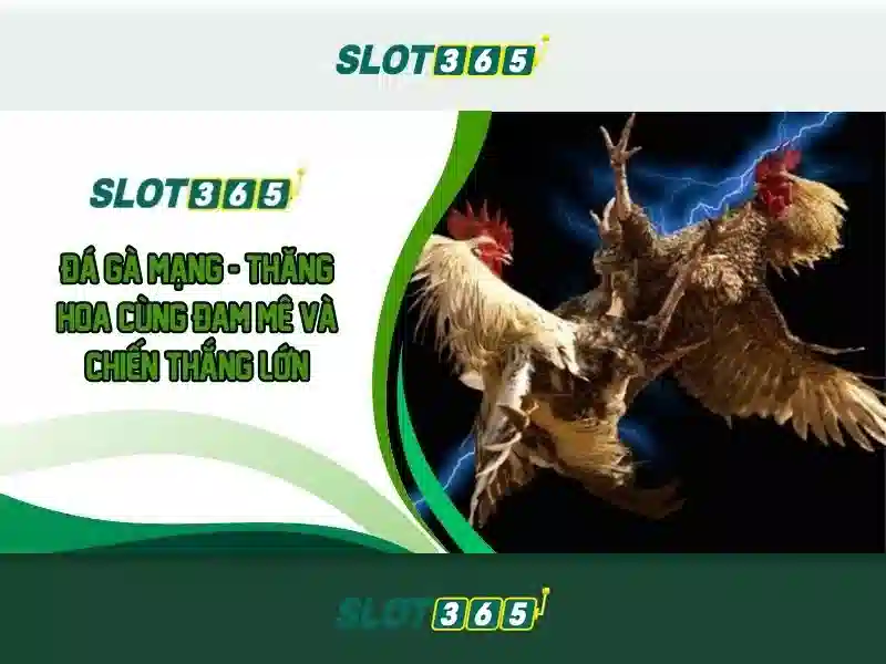Trải Nghiệm Casino Slot365