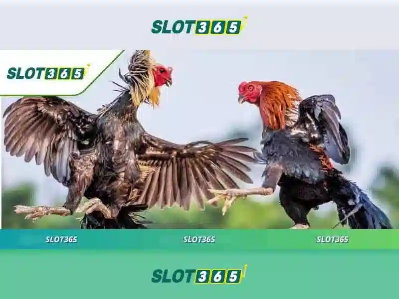 Trải nghiệm slot thật sự đỉnh cao