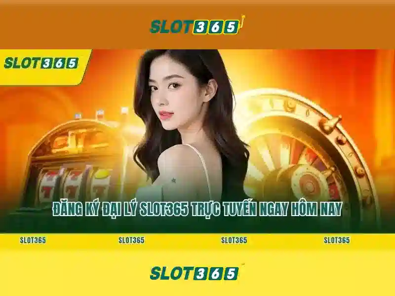 Tại Sao Chọn Slot365