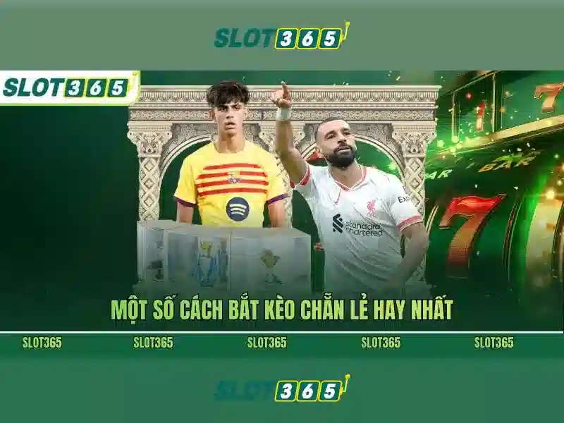 Nền Tảng SLOT365