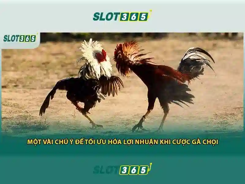 Slot365 đa dạng game