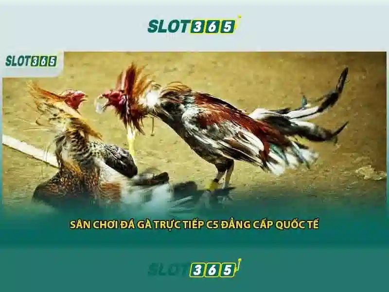Hướng Dẫn Đăng Ký Game Bài Slot365