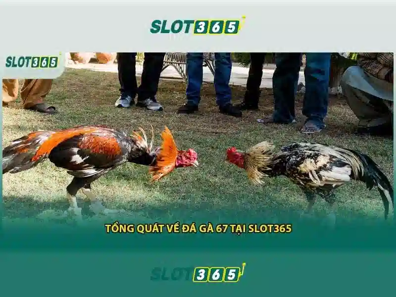 Trải Nghiệm Slot365 Game