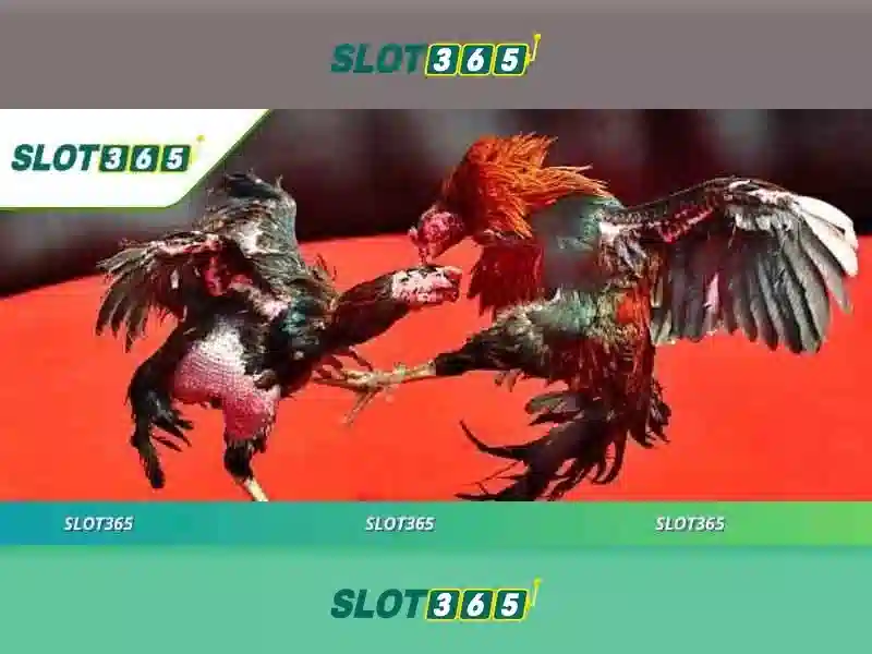 SLOT365 – Link Slot365 Chính Thức 2026 | Trải Nghiệm Slot365 Tối Ưu