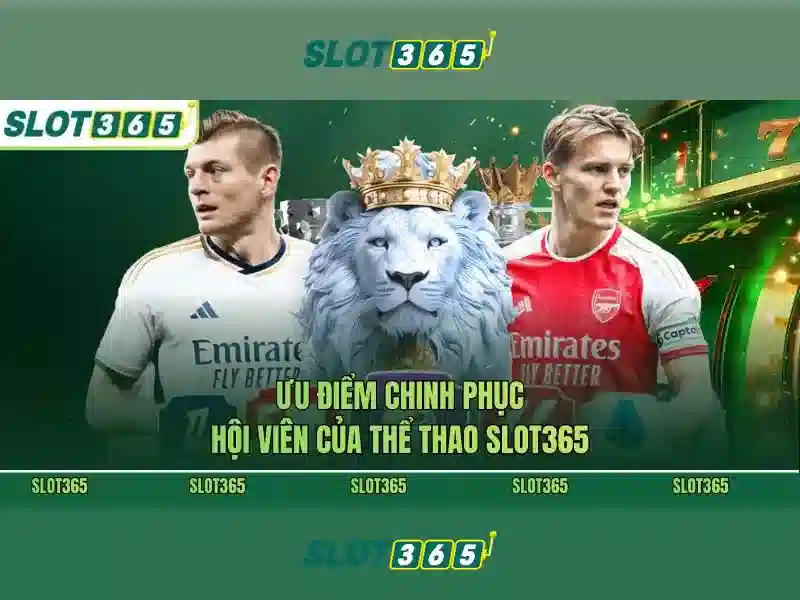 Nền Tảng Slot365