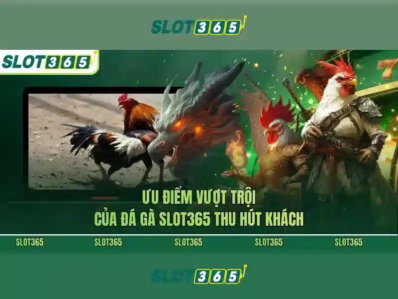 Ưu Điểm Của SLOT365 Tái