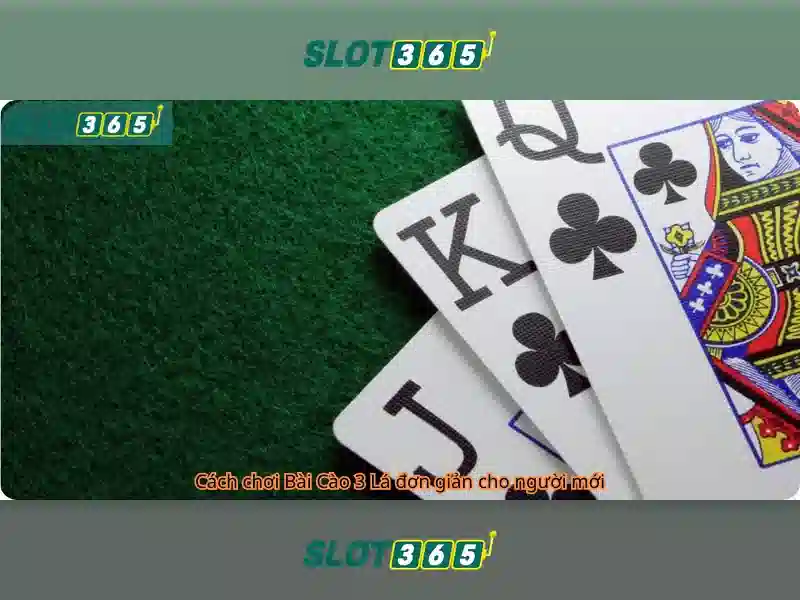 Ưu Đãi Slot365