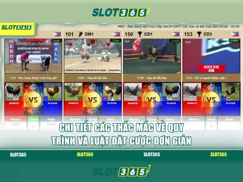 SLOT365