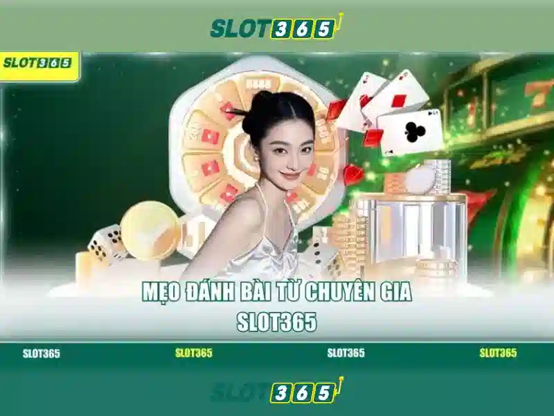 SLOT365 Bet – Hỗ Trợ Người Chơi