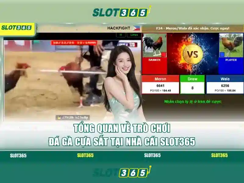 Slot365 – Trải Nghiệm Trò Chơi SLOT Đỉnh Cao Với Ưu Đãi Hấp Dẫn 2026