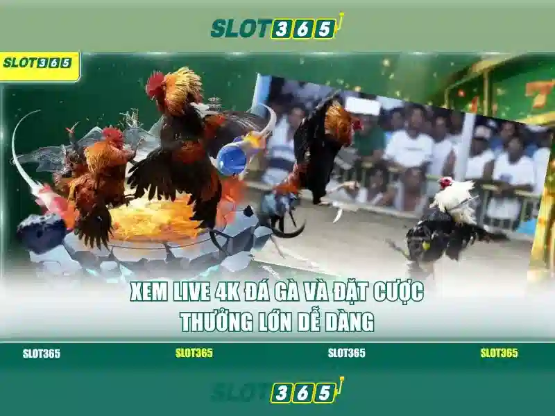 Công nghệ slot365