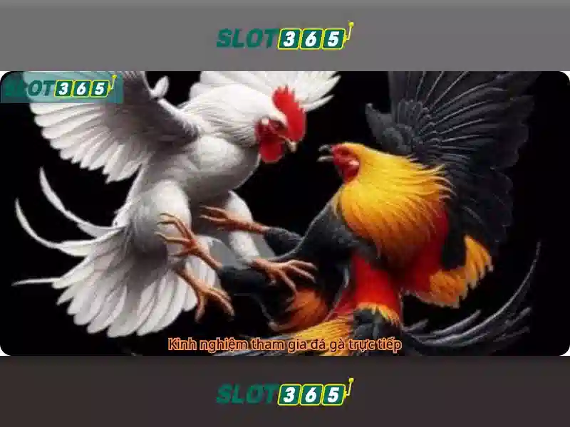 trải nghiệm Slot365