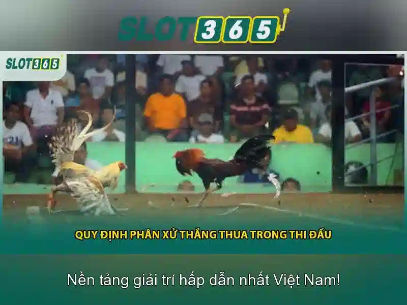 SLOT365