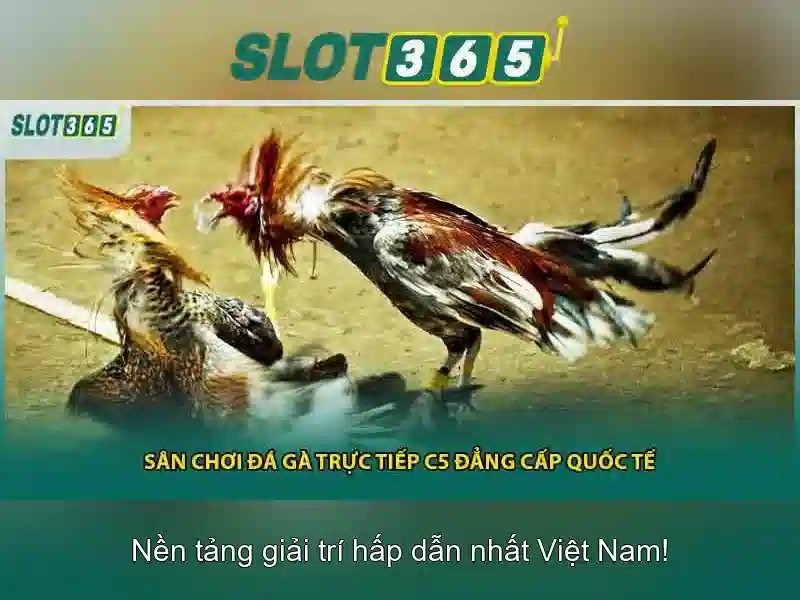 Hỗ trợ qua điện thoại