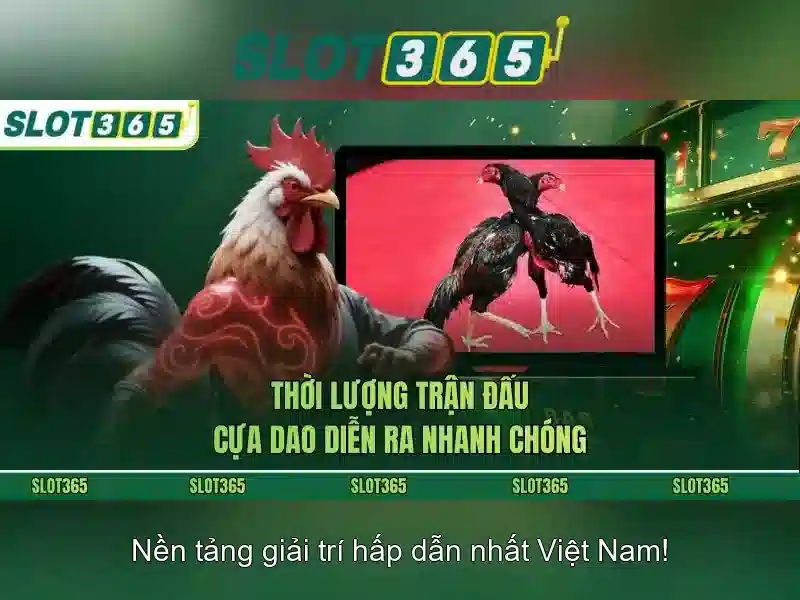 Giải Pháp Slot365 Bị Chặn