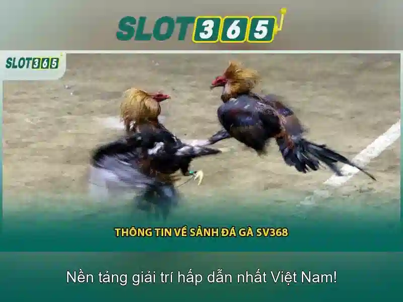 Hướng Dẫn Đăng Ký Slot365 Chính Thức