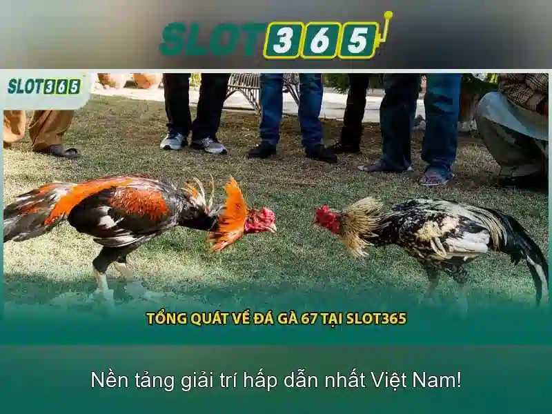 Chọn Lọc Sản Phẩm Theo Tiêu Chí Nhạc Nhạc