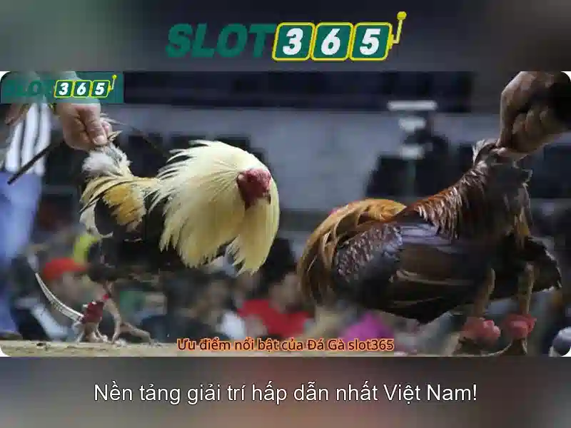 bảo mật đăng nhập slot365