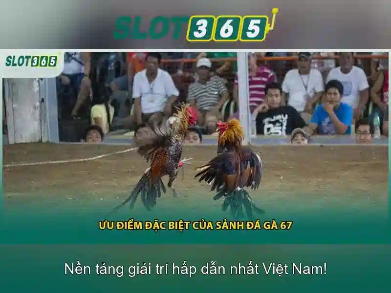 Trải Nghiệm Slot365 – Đa Dạng Game Slot Chất Lượng Cao