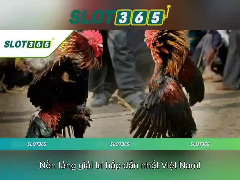 Đăng Nhập Slot365