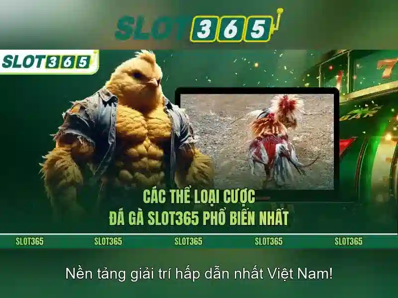Giải Pháp Tối Ưu Cho Người Chơi Slot 2026