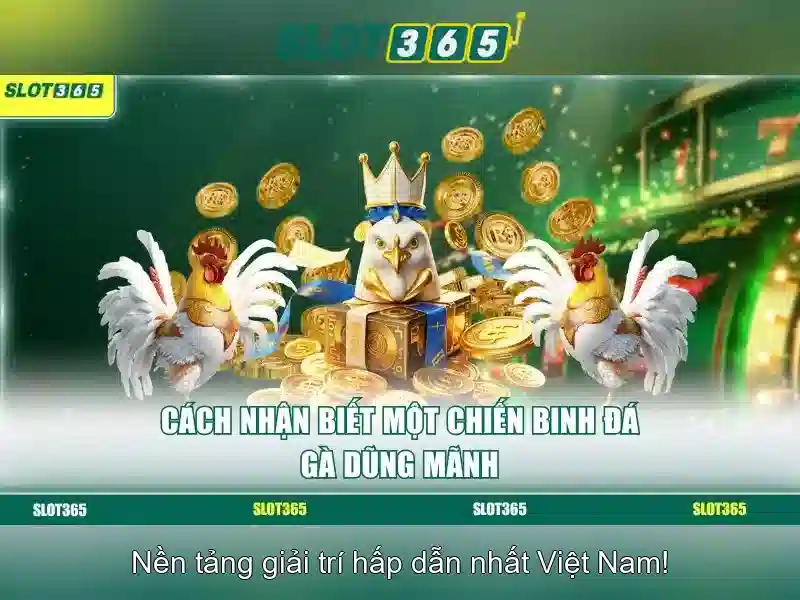 code Slot365 mới nhất – Cập Nhật Mã Cập Nhật Mới Nhất 2026