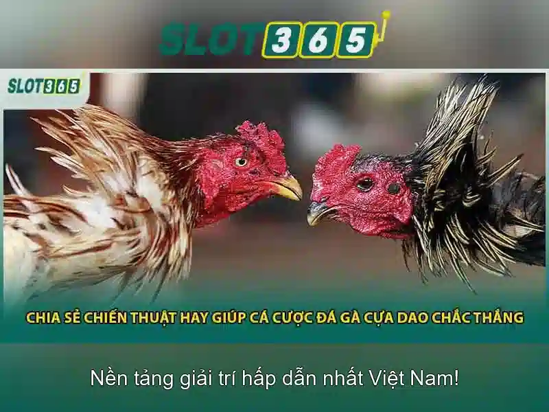 hướng dẫn sử dụng slot365 link alternatif