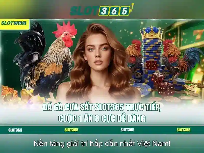 Tại sao chọn Slot365
