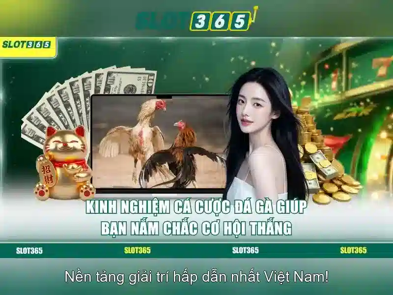 slot365 xx vip