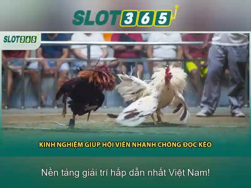 Hướng Dẫn Đăng Ký Nhận Code Slot365 Mới Nhất 2026