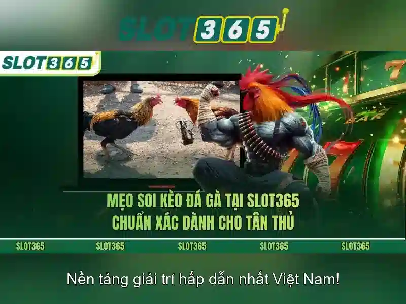 Ưu Đãi Độc Quyền Cho Thành Viên SLOT365