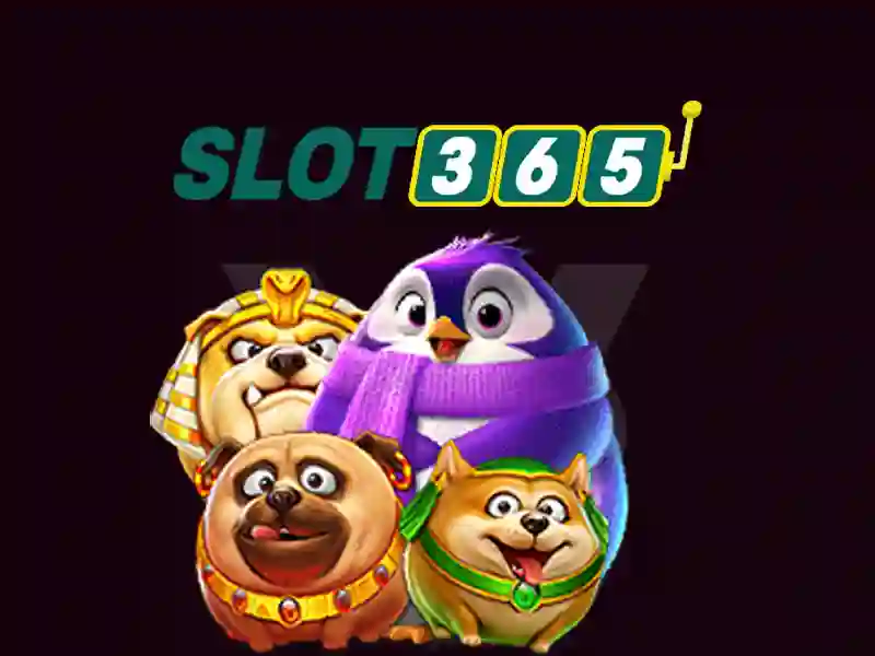 SLOT365 xx.vip